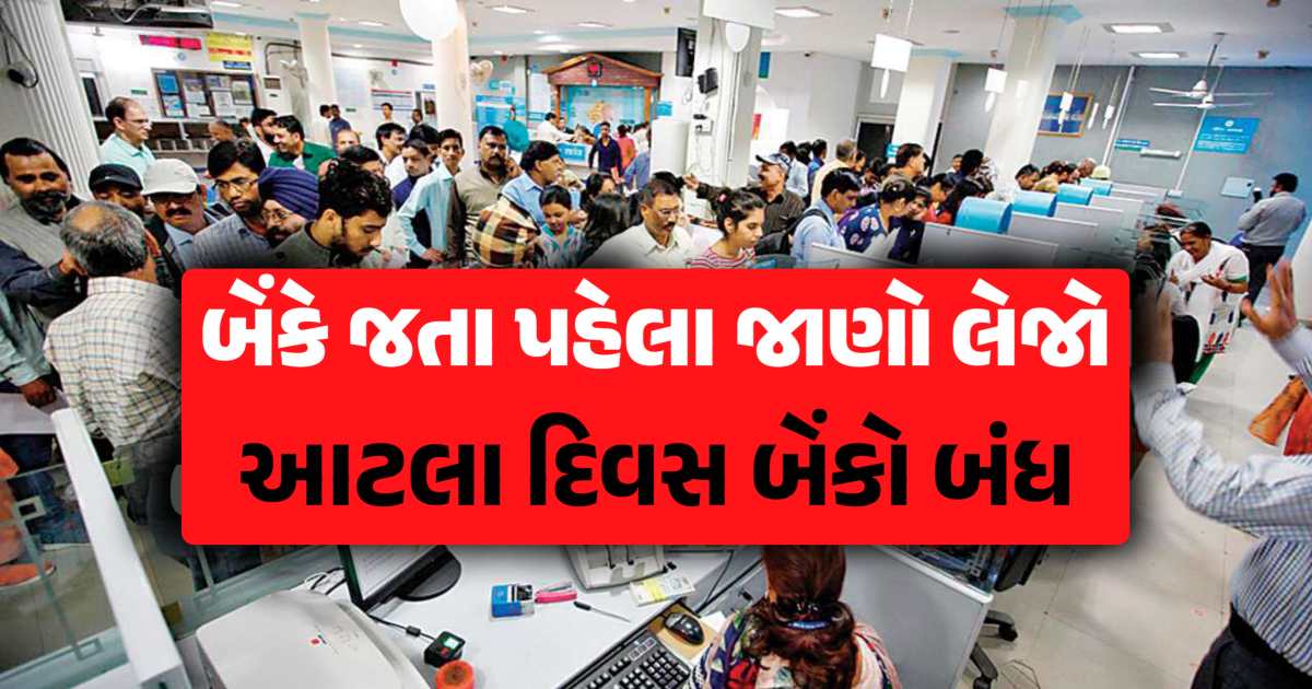 Feb Bank Holidays List: RBI એ બેંક રજાઓની યાદી જાહેર કરી, જાણો ફેબ્રુઆરીમાં બેંકો ક્યારે બંધ રહેશે