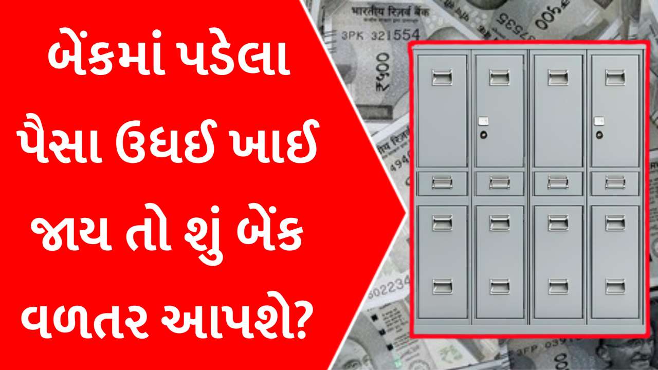 બેંકમાં પડેલા પૈસા ઉધઈ ખાઈ ગઈ, જાણો શું કહે છે RBI નો નિયમ, કેટલુ વળતર મળશે?