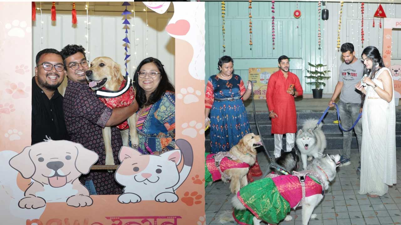 મુંગા જીવ માટે કામ કરનાર PAW-ઉત્સવનું સરાહનીય કાર્ય, વડોદરા ખાતે સૌપ્રથમ વખત શ્વાનની દિવાળી ઉજવાય