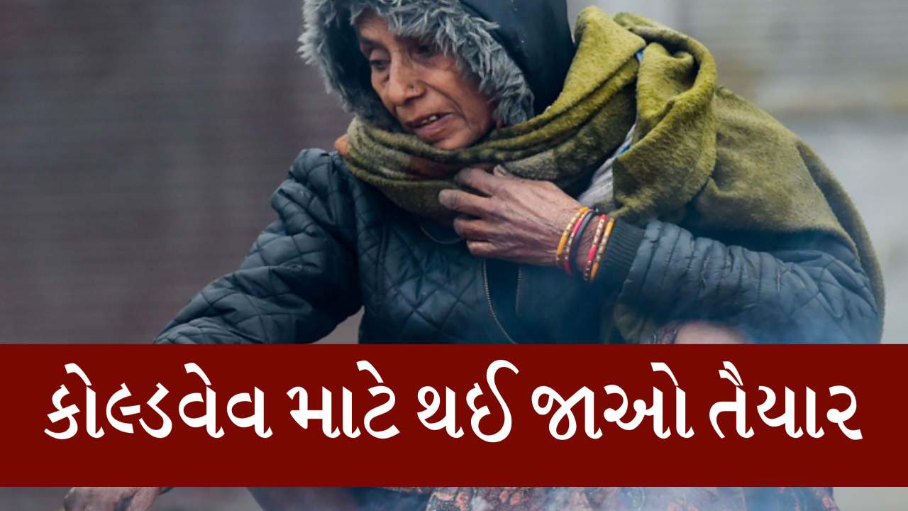 તૈયારીમાં રહેજો, કોલ્ડવેવ ની આગાહી આવી ગઈ, હાડ થીજવતી ઠંડીની આગાહી જાણી લેજો