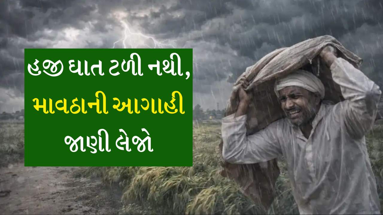 તૈયાર પાક ઘરે પહોંચાડી દેજો, વેસ્ટર્ન ડિસ્ટર્બન્સ સક્રિય થતા ગાજવીજ સાથે વરસાદની આગાહી