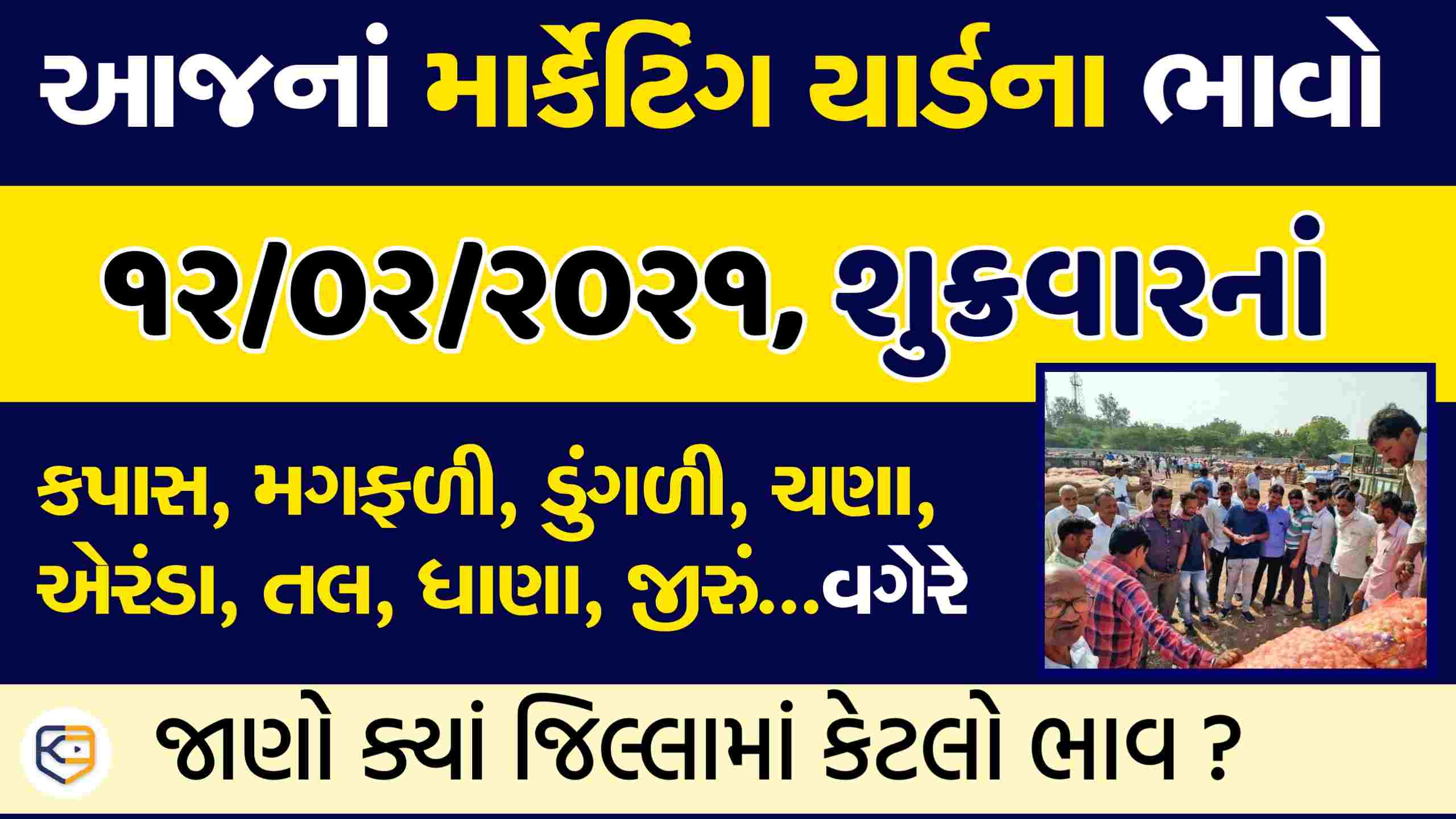 આજના (૧૨/૦૨/૨૦૨૧, શુક્રવારનાં ) માર્કેટિંગ યાર્ડોના ભાવો: જાણો ક્યાં જિલ્લામાં કેટલો ભાવ?