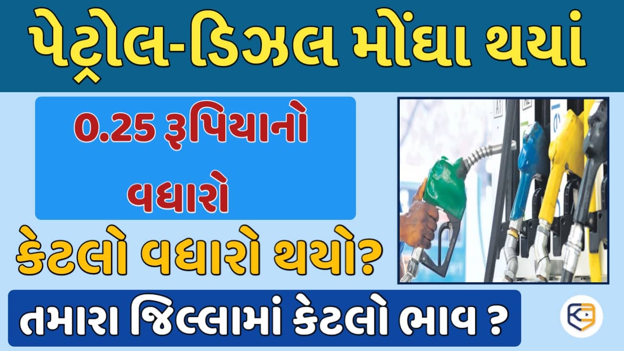 પેટ્રોલ-ડિઝલ મોંઘા થયાં : સતત બીજા દિવસે 0.25 રુપિયાનો વધારો